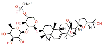 Magnumoside A1